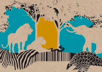 Los delitos contra la vida silvestre son una amenaza no solo para el medio ambiente y la biodiversidad sino para la salud humana