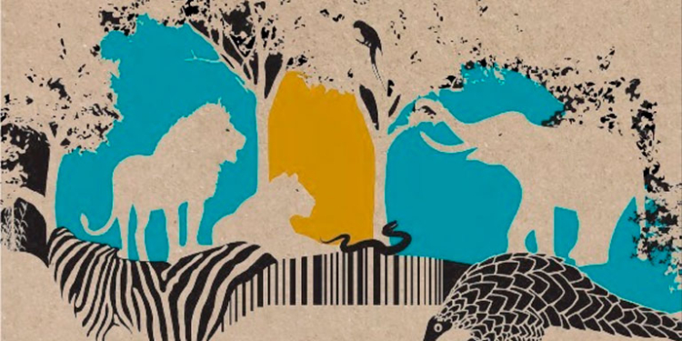 Los delitos contra la vida silvestre son una amenaza no solo para el medio ambiente y la biodiversidad sino para la salud humana