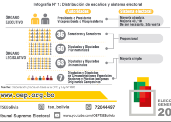 El OEP dio a conocer la distribución y asignación de escaños. (Fuente Directa)