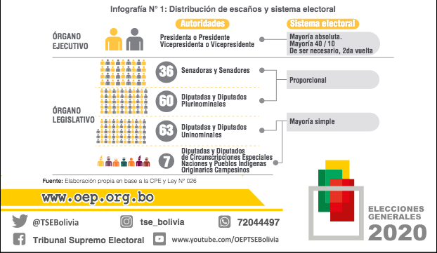 El OEP dio a conocer la distribución y asignación de escaños. (Fuente Directa)