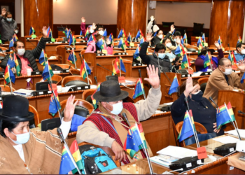 diputados