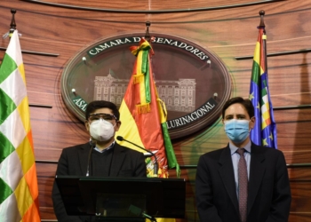 ALP y TSE trabajarán una ley para garantizar las elecciones generales