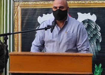 viceministro