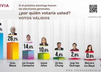 elecciones