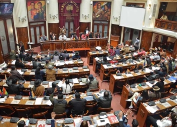 Casillero de un diputado nacional evidencia que no llegó ninguna documentación para avisar el trartamiento de las modificaciones al reglamento camaral | RRSS
