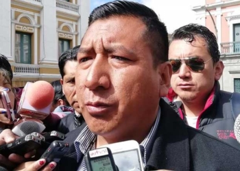 Presidente de la Cámara de Diputados, Freddy Mamani | Foto Erbol