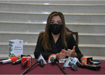 viceministra