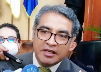 El viceministro de Régimen Interior y Policía, Emilio Rodas | Foto: ABI