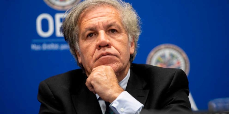 Comentarios
América Latina
Almagro asegura que trabajo de la OEA en 2019 se ha enfocado en defender la democracia
19 Diciembre 2019 11:09 AM
El secretario general de la Organización de Estados Americanos (OEA), Luis Almagro, ha dicho en una conferencia de prensa que el trabajo del organismo que preside ha sido impecable.
El secretario general de la Organización de Estados Americanos (OEA), Luis Almagro | Foto: Voz de América