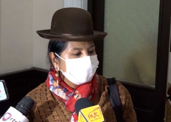 Bertha Acarapi, diputada del Movimiento Al Socialismo (MAS)