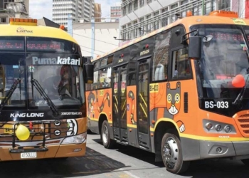 PumaKatari y ChikiTiti