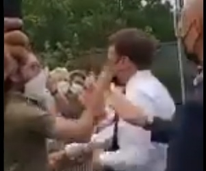 lapo