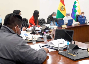 Gabinete de ministros aprobó este miércoles el Decreto Supremo que declara prioridad nacional el Censo de Población y Vivienda para 2022.