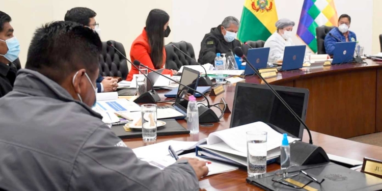 Gabinete de ministros aprobó este miércoles el Decreto Supremo que declara prioridad nacional el Censo de Población y Vivienda para 2022.