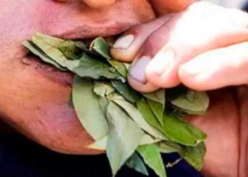 FELCC La Paz reporta muerte de un albañil presuntamente por broncoaspiración con coca