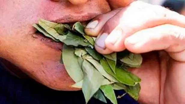 FELCC La Paz reporta muerte de un albañil presuntamente por broncoaspiración con coca