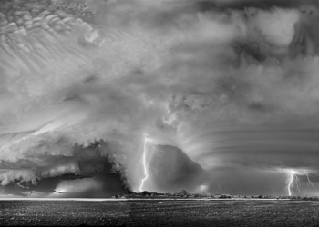 Foto: The Nature Conservancy