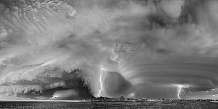 Foto: The Nature Conservancy