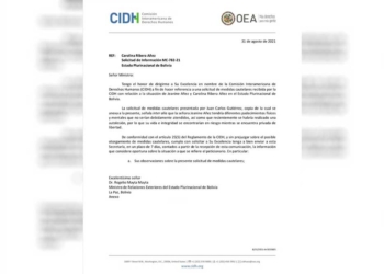 CIDH notifica y da plazo de una semana al Gobierno para informar sobre el estado de Áñez