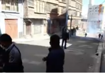 cocaleros