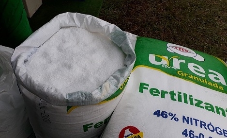 urea