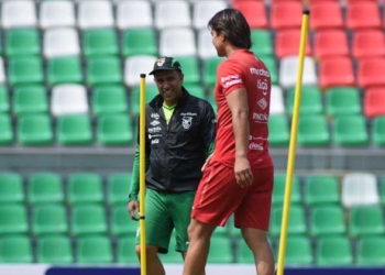 Hoy Bolivia se medirá ante Ecuador, Martins partirá de titular