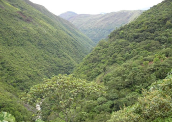 Los Yungas