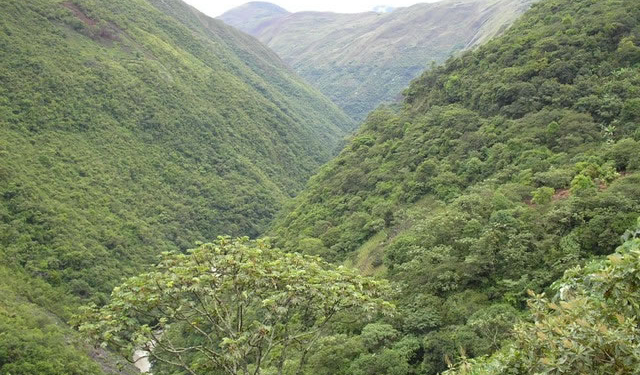 Los Yungas