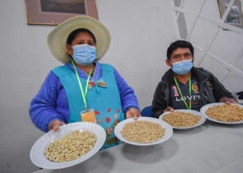 Productores de Zongo Trópico se preparan para exportar café orgánico