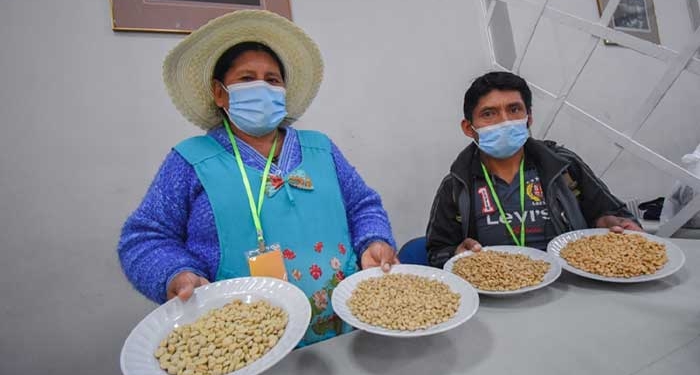 Productores de Zongo Trópico se preparan para exportar café orgánico