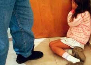 Imagen referencial