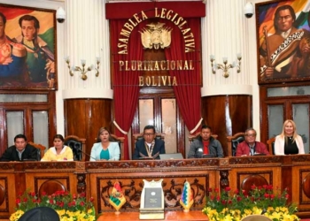 Entre gritos y golpes se ejecutó un golpe legislativo