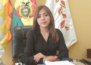 Viceministra Gabriela Alcón.
