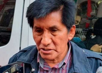 Senador del MAS, Félix Ajpi. Foto: Erbol
