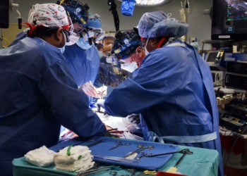 Cirujanos de EEUU trasplantan con éxito un corazón de cerdo a una persona