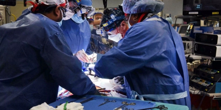 Cirujanos de EEUU trasplantan con éxito un corazón de cerdo a una persona