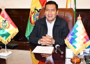 El presidente de la Cámara de Diputados, Freddy Mamani