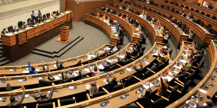 El pleno de la Asamblea Legislativa Plurinacional (ALP)