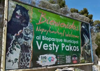 Sube a 90 los animales muertos en el Bioparque Municipal Vesty Pakos en La Paz
