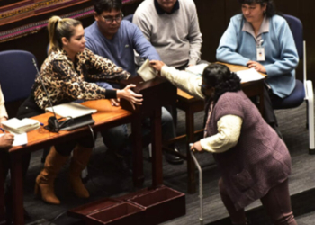 El MAS conversa con opositores para 'elegir al Defensor hasta mediados de junio'