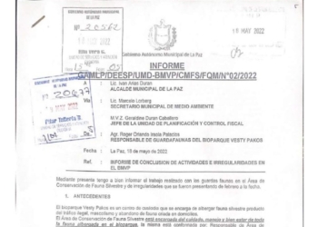 Informe de actividades e irregularidades