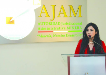 Brenda Lafuente, exdirectora de la AJAM, en conferencia de prensa. Foto: Energía Libre
