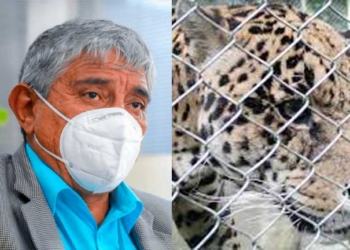 Revelan que Iván Arias tenia conocimiento y no hizo nada por los animales de Vesty Pakos