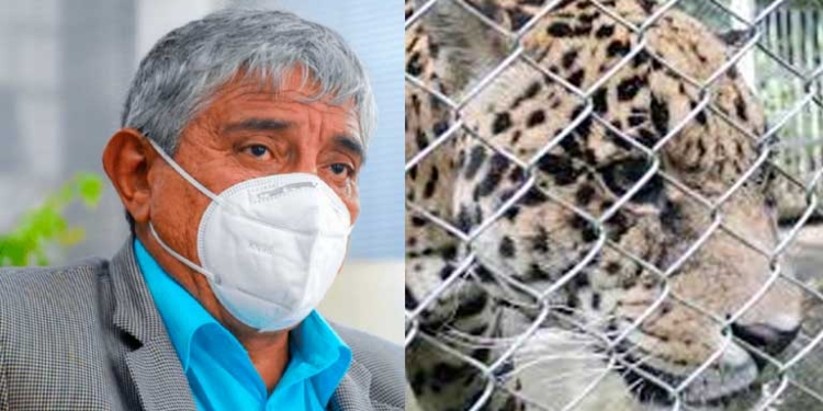 Revelan que Iván Arias tenia conocimiento y no hizo nada por los animales de Vesty Pakos