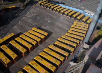 66 nuevos Pumakatari que se encuentran en la intemperie