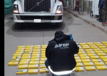 El camión interceptado por agentes de la DGA de Argentina. Foto: Dirección General de Aduanas de Argentina