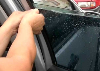 Vehículo con un vidrio polarizado. Foto: Defensoría del Pueblo