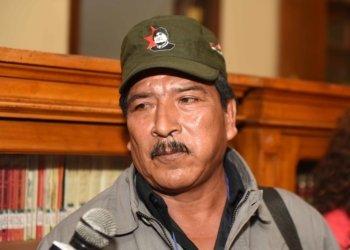 El vicepresidente del MAS, Gerardo García