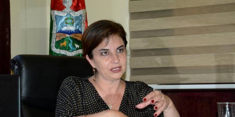 Yelka Maric, presidenta del Concejo, en su despacho | Foto: Página Siete
