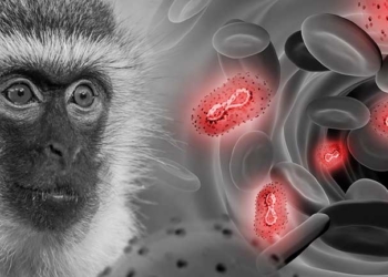 Bolivia confirma dos nuevos pacientes con viruela del mono